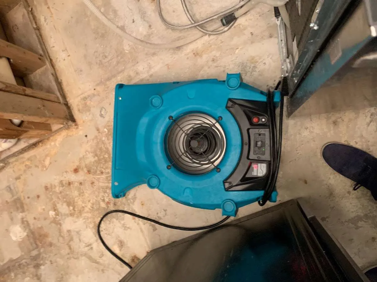 Air mover drying equipment for Mold Remediation & Removal in San Marcos